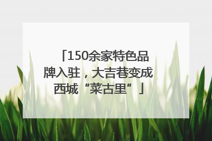 150余家特色品牌入驻，大吉巷变成西城“菜古里”