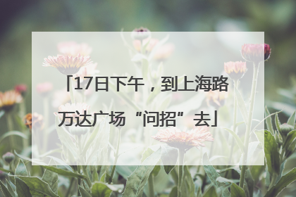17日下午，到上海路万达广场“问招”去