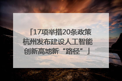 17项举措20条政策 杭州发布建设人工智能创新高地新“路径”
