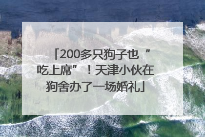 200多只狗子也“吃上席”！天津小伙在狗舍办了一场婚礼