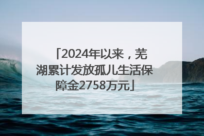 2024年以来，芜湖累计发放孤儿生活保障金2758万元