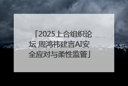 2025上合组织论坛 周鸿祎建言AI安全应对与柔性监管