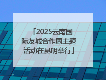 2025云南国际友城合作周主题活动在昆明举行