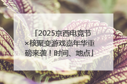 2025京西电竞节×核聚变游戏嘉年华重磅来袭！时间、地点
