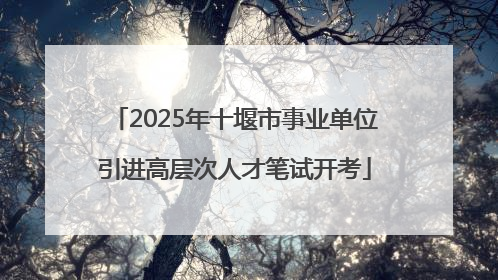 2025年十堰市事业单位引进高层次人才笔试开考