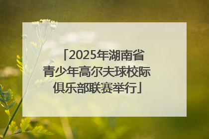 2025年湖南省青少年高尔夫球校际俱乐部联赛举行