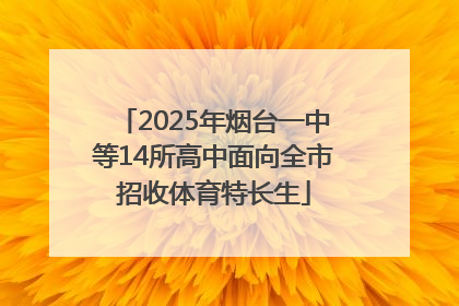 2025年烟台一中等14所高中面向全市招收体育特长生
