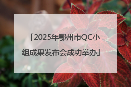 2025年鄂州市QC小组成果发布会成功举办