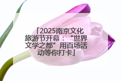 2025南京文化旅游节开幕：“世界文学之都”用百场活动等你打卡
