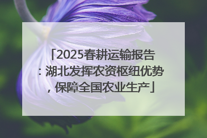 2025春耕运输报告：湖北发挥农资枢纽优势，保障全国农业生产
