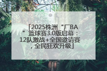2025株洲“厂BA”篮球赛3.0版启幕：12队激战+全国邀请赛，全民狂欢升级