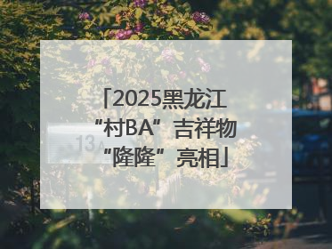 2025黑龙江“村BA”吉祥物“隆隆”亮相