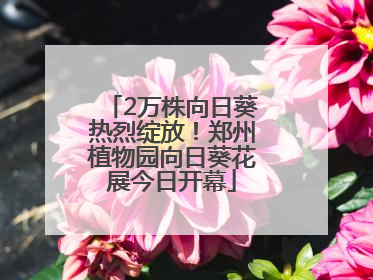 2万株向日葵热烈绽放！郑州植物园向日葵花展今日开幕