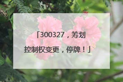 300327，筹划控制权变更，停牌！