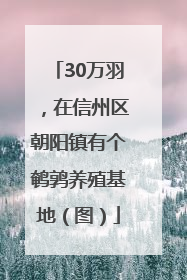 30万羽，在信州区朝阳镇有个鹌鹑养殖基地（图）