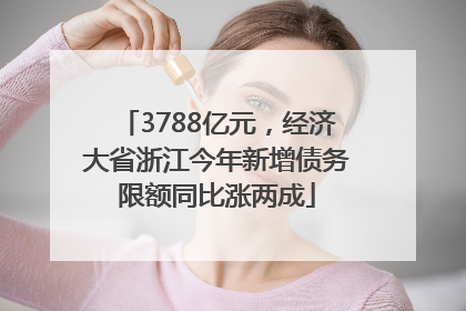 3788亿元，经济大省浙江今年新增债务限额同比涨两成