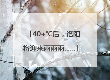 40+℃后，洛阳将迎来雨雨雨……