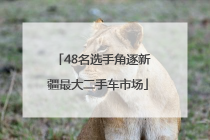 48名选手角逐新疆最大二手车市场