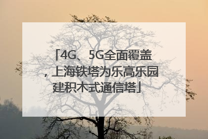 4G、5G全面覆盖，上海铁塔为乐高乐园建积木式通信塔