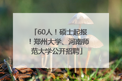 60人！硕士起报！郑州大学、河南师范大学公开招聘