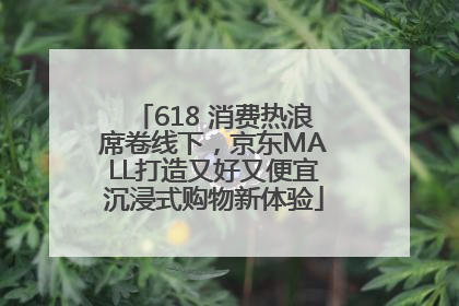 618 消费热浪席卷线下，京东MALL打造又好又便宜沉浸式购物新体验