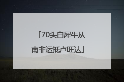 70头白犀牛从南非运抵卢旺达