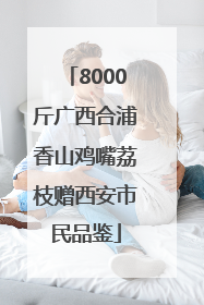 8000斤广西合浦香山鸡嘴荔枝赠西安市民品鉴