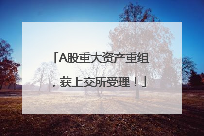 A股重大资产重组，获上交所受理！