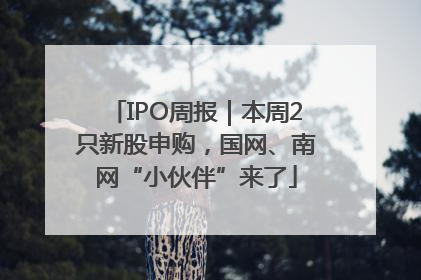 IPO周报｜本周2只新股申购，国网、南网“小伙伴”来了
