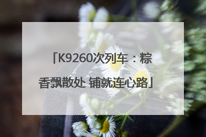 K9260次列车：粽香飘散处 铺就连心路