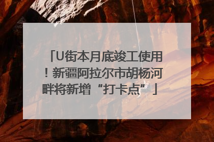 U街本月底竣工使用！新疆阿拉尔市胡杨河畔将新增“打卡点”